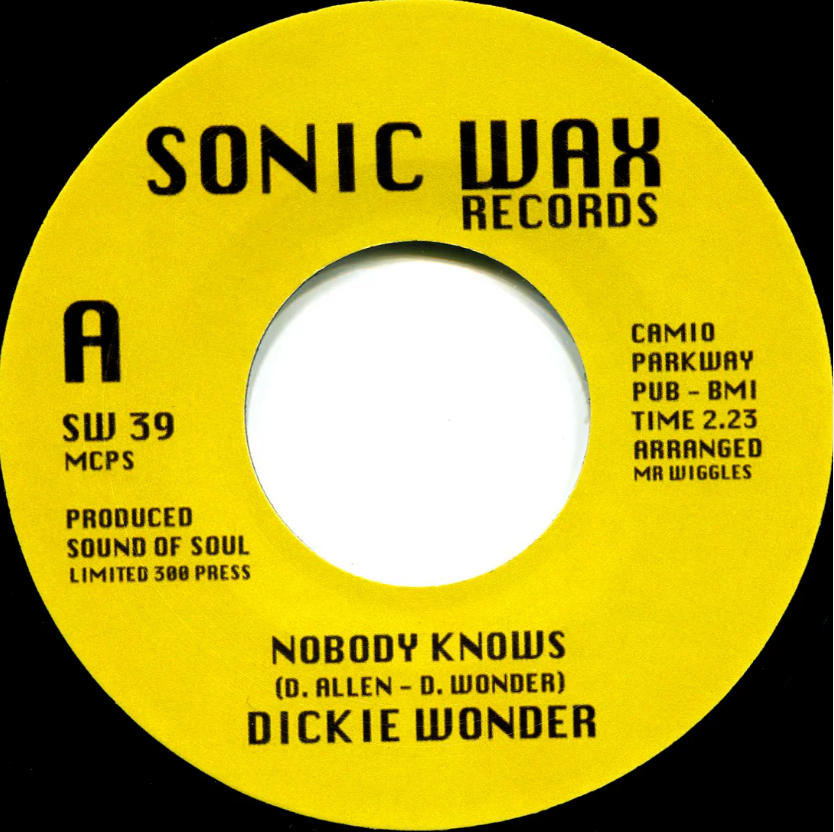 Dickie Wonder - Nobody Knows