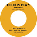 Larry & The Hippies — Call Her Back (Instrumental)