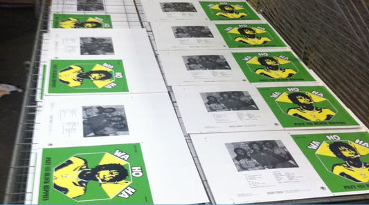Pazy and the Black Hippies pre-order screen printed covers are In