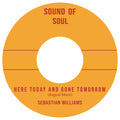 Sebastian Williams — Here Today and Gone Tomorrow 